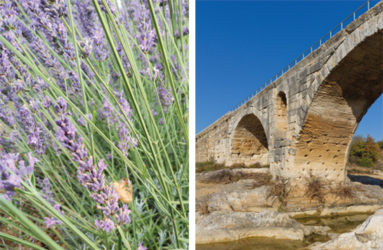 Domaine Château les Eydins en Luberon