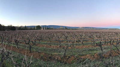 Culture biologique en Luberon